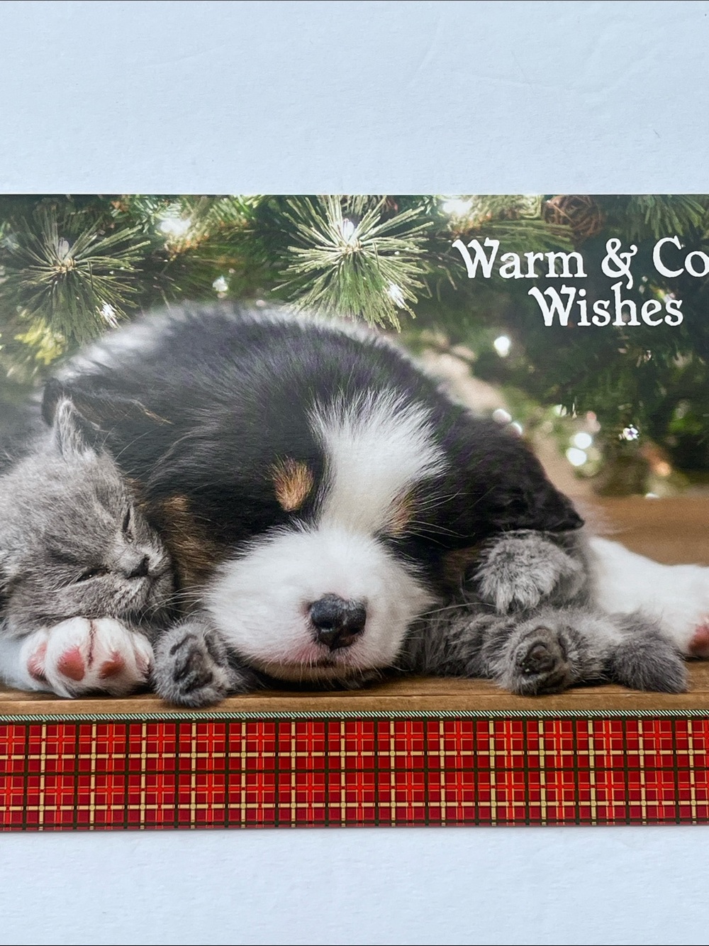 Sleeping Puppy Holiday Card with Red Plaid Border